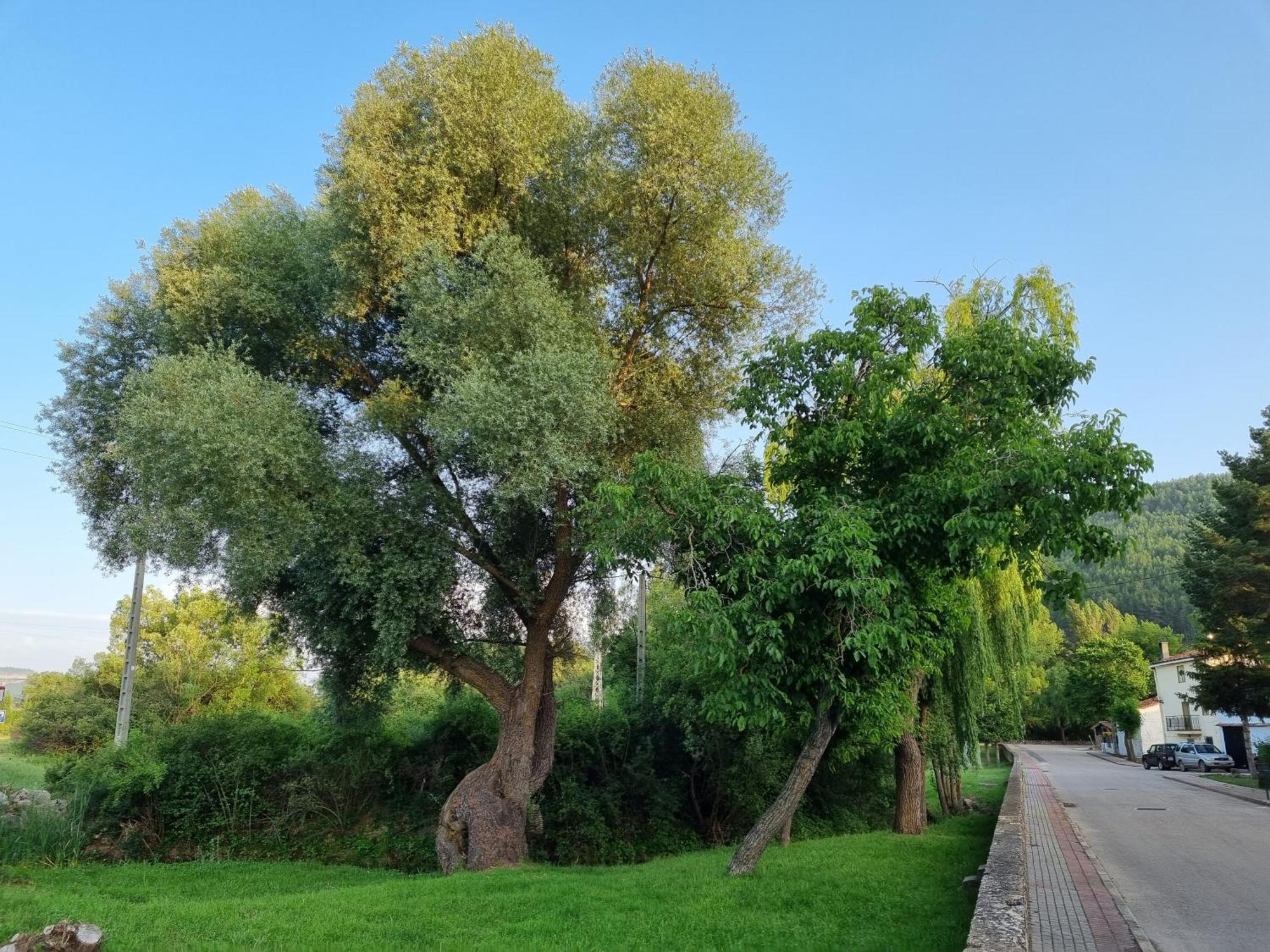 Ncantadarooms Tragacete Εξωτερικό φωτογραφία